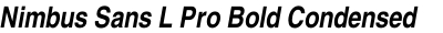 Nimbus Sans L Pro Bold Condensed Italic